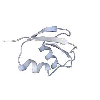 4382_6gc7_Z_v1-1
50S ribosomal subunit assembly intermediate state 1