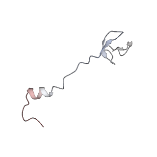 4383_6gc8_0_v1-1
50S ribosomal subunit assembly intermediate - 50S rec*