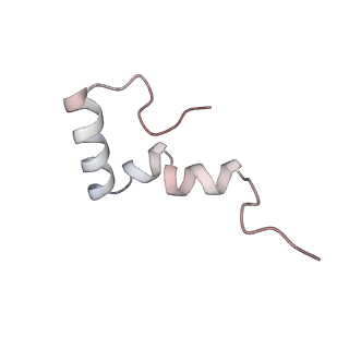 4383_6gc8_2_v1-1
50S ribosomal subunit assembly intermediate - 50S rec*