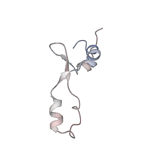 4383_6gc8_3_v1-1
50S ribosomal subunit assembly intermediate - 50S rec*
