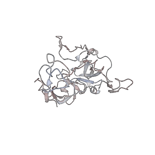 4383_6gc8_C_v1-1
50S ribosomal subunit assembly intermediate - 50S rec*