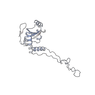 4383_6gc8_E_v1-1
50S ribosomal subunit assembly intermediate - 50S rec*