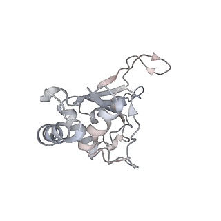 4383_6gc8_F_v1-1
50S ribosomal subunit assembly intermediate - 50S rec*