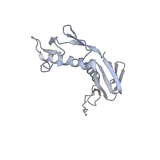 4383_6gc8_G_v1-1
50S ribosomal subunit assembly intermediate - 50S rec*