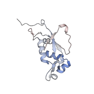 4383_6gc8_J_v1-1
50S ribosomal subunit assembly intermediate - 50S rec*