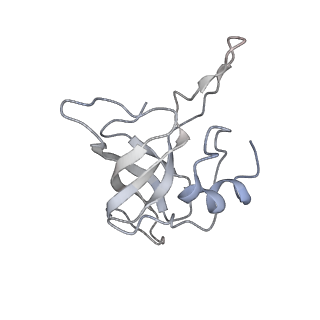 4383_6gc8_K_v1-1
50S ribosomal subunit assembly intermediate - 50S rec*