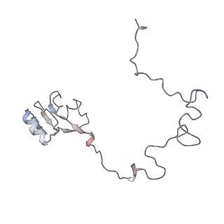4383_6gc8_L_v1-1
50S ribosomal subunit assembly intermediate - 50S rec*