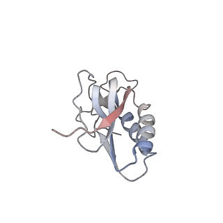 4383_6gc8_M_v1-1
50S ribosomal subunit assembly intermediate - 50S rec*