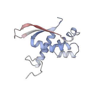 4383_6gc8_N_v1-1
50S ribosomal subunit assembly intermediate - 50S rec*