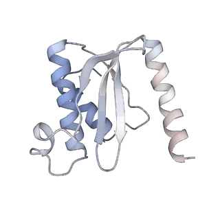 4383_6gc8_O_v1-1
50S ribosomal subunit assembly intermediate - 50S rec*