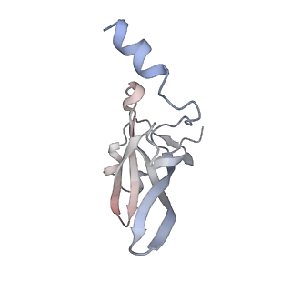 4383_6gc8_P_v1-1
50S ribosomal subunit assembly intermediate - 50S rec*