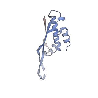 4383_6gc8_S_v1-1
50S ribosomal subunit assembly intermediate - 50S rec*