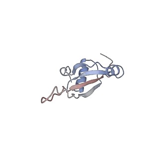 4383_6gc8_T_v1-1
50S ribosomal subunit assembly intermediate - 50S rec*