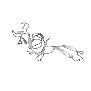 4383_6gc8_U_v1-1
50S ribosomal subunit assembly intermediate - 50S rec*