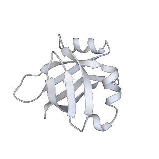 4383_6gc8_V_v1-1
50S ribosomal subunit assembly intermediate - 50S rec*