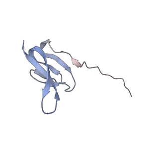 4383_6gc8_W_v1-1
50S ribosomal subunit assembly intermediate - 50S rec*