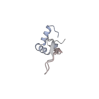 4383_6gc8_X_v1-1
50S ribosomal subunit assembly intermediate - 50S rec*
