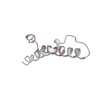 4383_6gc8_Y_v1-1
50S ribosomal subunit assembly intermediate - 50S rec*