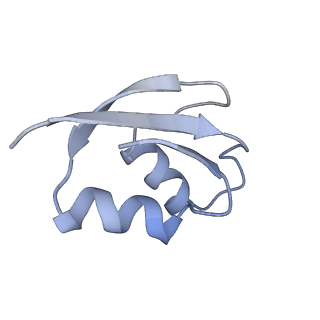 4383_6gc8_Z_v1-1
50S ribosomal subunit assembly intermediate - 50S rec*