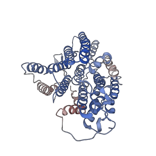 4384_6gcs_2_v1-3
Cryo-EM structure of respiratory complex I from Yarrowia lipolytica