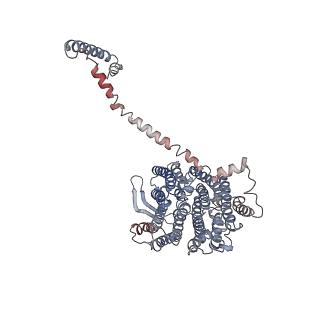 4384_6gcs_5_v1-3
Cryo-EM structure of respiratory complex I from Yarrowia lipolytica