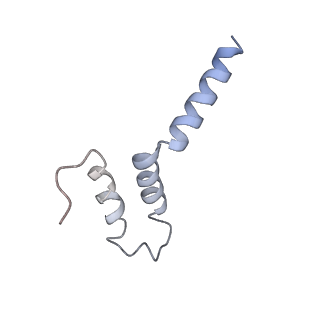 4384_6gcs_9_v1-3
Cryo-EM structure of respiratory complex I from Yarrowia lipolytica