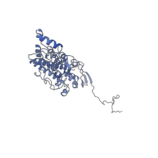 4384_6gcs_C_v1-3
Cryo-EM structure of respiratory complex I from Yarrowia lipolytica