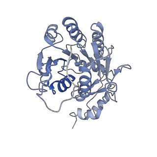 4384_6gcs_E_v1-3
Cryo-EM structure of respiratory complex I from Yarrowia lipolytica