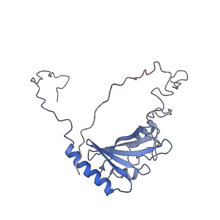 4384_6gcs_G_v1-3
Cryo-EM structure of respiratory complex I from Yarrowia lipolytica