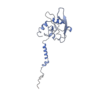 4384_6gcs_I_v1-3
Cryo-EM structure of respiratory complex I from Yarrowia lipolytica