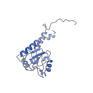 4384_6gcs_K_v1-3
Cryo-EM structure of respiratory complex I from Yarrowia lipolytica