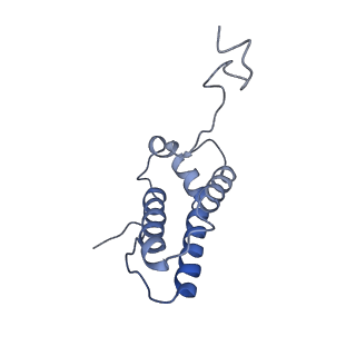4384_6gcs_P_v1-3
Cryo-EM structure of respiratory complex I from Yarrowia lipolytica