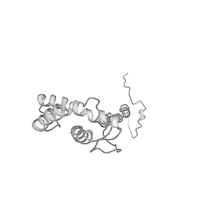 4384_6gcs_S_v1-3
Cryo-EM structure of respiratory complex I from Yarrowia lipolytica