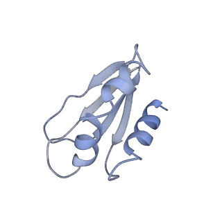 4384_6gcs_f_v1-3
Cryo-EM structure of respiratory complex I from Yarrowia lipolytica