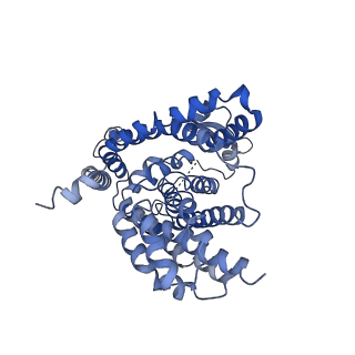4386_6gct_A_v1-2
cryo-EM structure of the human neutral amino acid transporter ASCT2