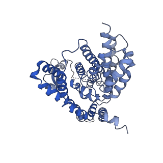 4386_6gct_B_v1-2
cryo-EM structure of the human neutral amino acid transporter ASCT2