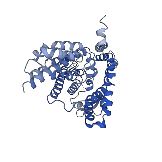 4386_6gct_C_v1-2
cryo-EM structure of the human neutral amino acid transporter ASCT2