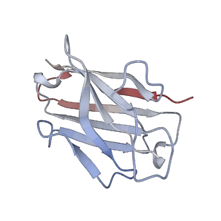 29943_8gd9_N_v1-0
Cryo-EM Structure of the Prostaglandin E2 Receptor 4 Coupled to G Protein