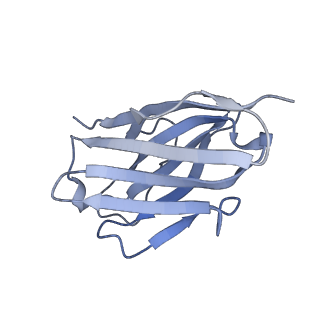 29944_8gda_N_v1-0
Cryo-EM Structure of the Prostaglandin E2 Receptor 4 Coupled to G Protein