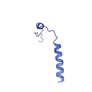 29945_8gdb_G_v1-0
Cryo-EM Structure of the Prostaglandin E2 Receptor 4 Coupled to G Protein