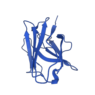 29945_8gdb_N_v1-0
Cryo-EM Structure of the Prostaglandin E2 Receptor 4 Coupled to G Protein