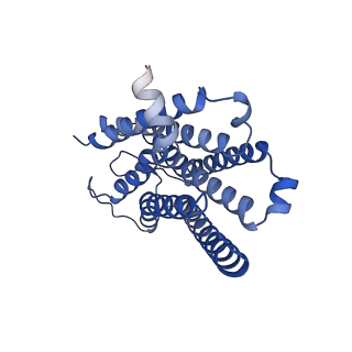 29945_8gdb_R_v1-0
Cryo-EM Structure of the Prostaglandin E2 Receptor 4 Coupled to G Protein