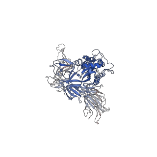 29950_8gdr_A_v1-0
SARS-Cov2 S protein structure in complex with neutralizing monoclonal antibody 002-S21B10