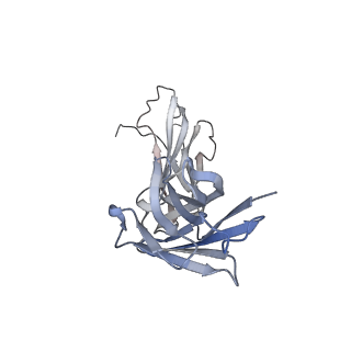 29950_8gdr_C_v1-0
SARS-Cov2 S protein structure in complex with neutralizing monoclonal antibody 002-S21B10
