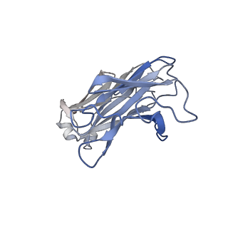 29950_8gdr_D_v1-0
SARS-Cov2 S protein structure in complex with neutralizing monoclonal antibody 002-S21B10