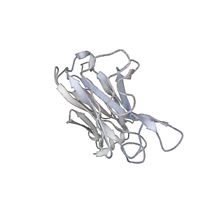 29950_8gdr_J_v1-0
SARS-Cov2 S protein structure in complex with neutralizing monoclonal antibody 002-S21B10