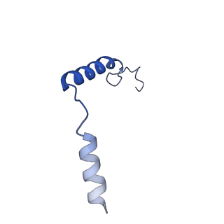 29951_8gdz_G_v1-2
CryoEM structure of beta-2-adrenergic receptor in complex with nucleotide-free Gs heterotrimer (#1 of 20)