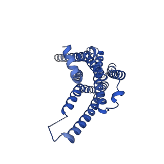 29951_8gdz_R_v1-2
CryoEM structure of beta-2-adrenergic receptor in complex with nucleotide-free Gs heterotrimer (#1 of 20)