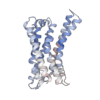 4390_6gdg_A_v1-1
Cryo-EM structure of the adenosine A2A receptor bound to a miniGs heterotrimer