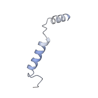 4390_6gdg_C_v1-1
Cryo-EM structure of the adenosine A2A receptor bound to a miniGs heterotrimer